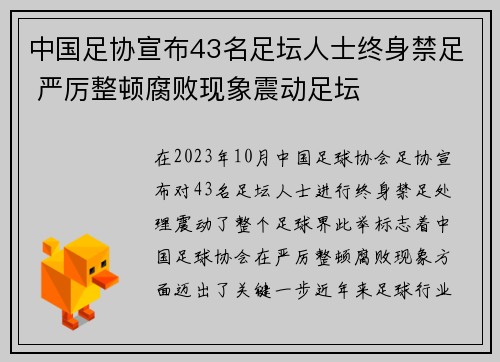 中国足协宣布43名足坛人士终身禁足 严厉整顿腐败现象震动足坛 中国足协宣布43名足坛人士终身禁足 严厉整顿腐败现象震动足坛